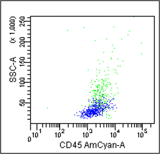 Two CD45 positive populations